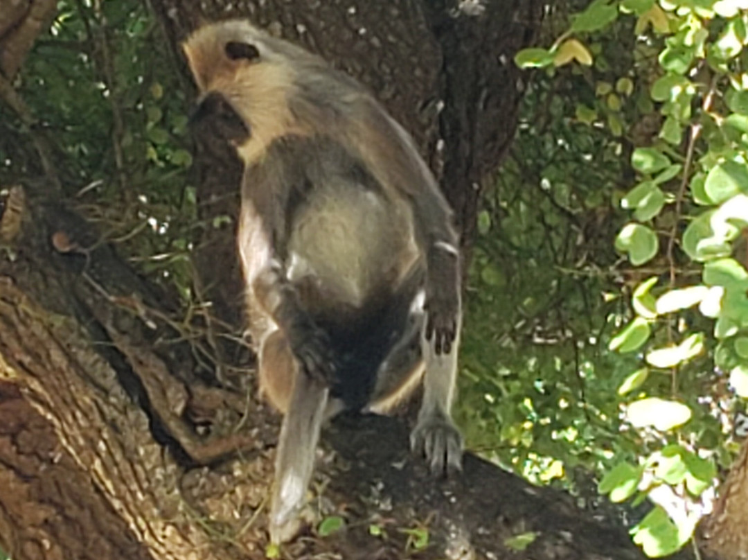 City Tours India-新德里必去景点