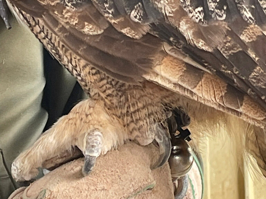 The Greenbrier Outfitters-White Sulphur Springs必去景点