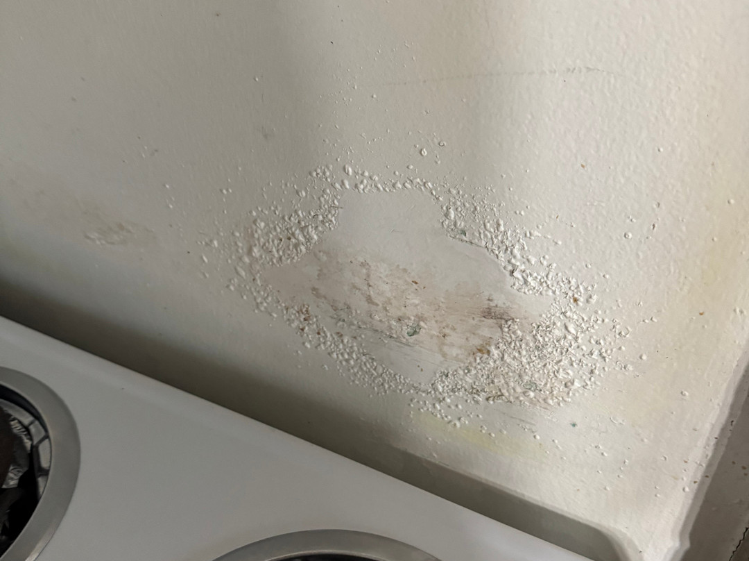 Pickwick Landing State Park-Pickwick Dam必去景点