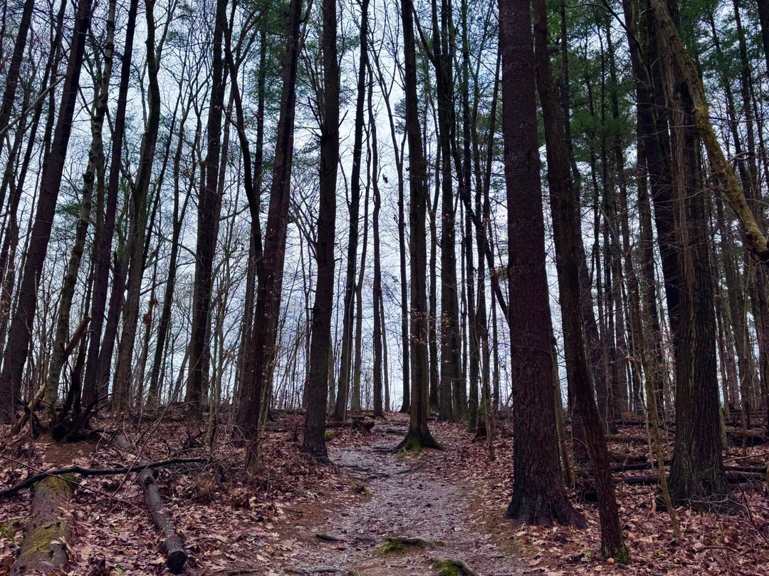 Salt Run Trail-Peninsula必去景点