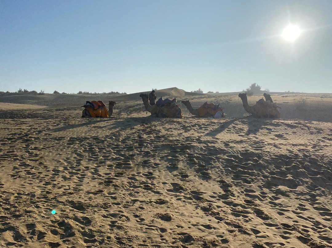 Sahara Travels Day Tours景点图片