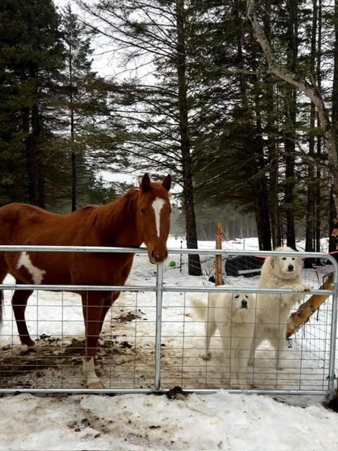Celibeth House Bed and Breakfast主图