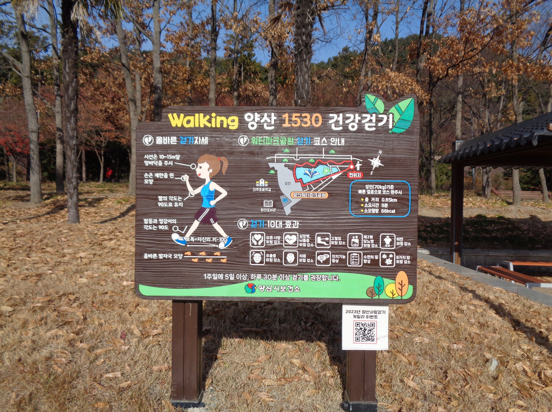 Yangsan Water Park-梁山市必去景点