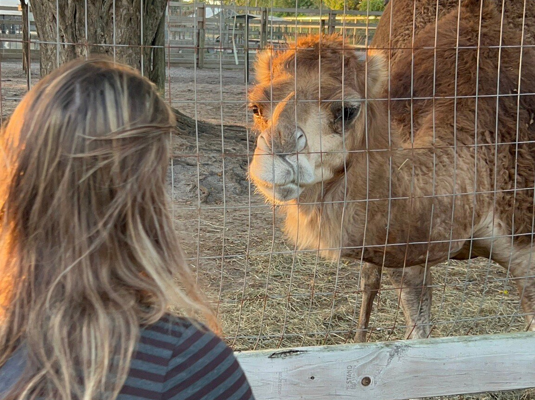 Animal Edventure Park-博因顿海滩必去景点