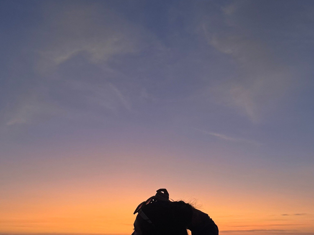 Los Lobos-Cerro Azul必去景点