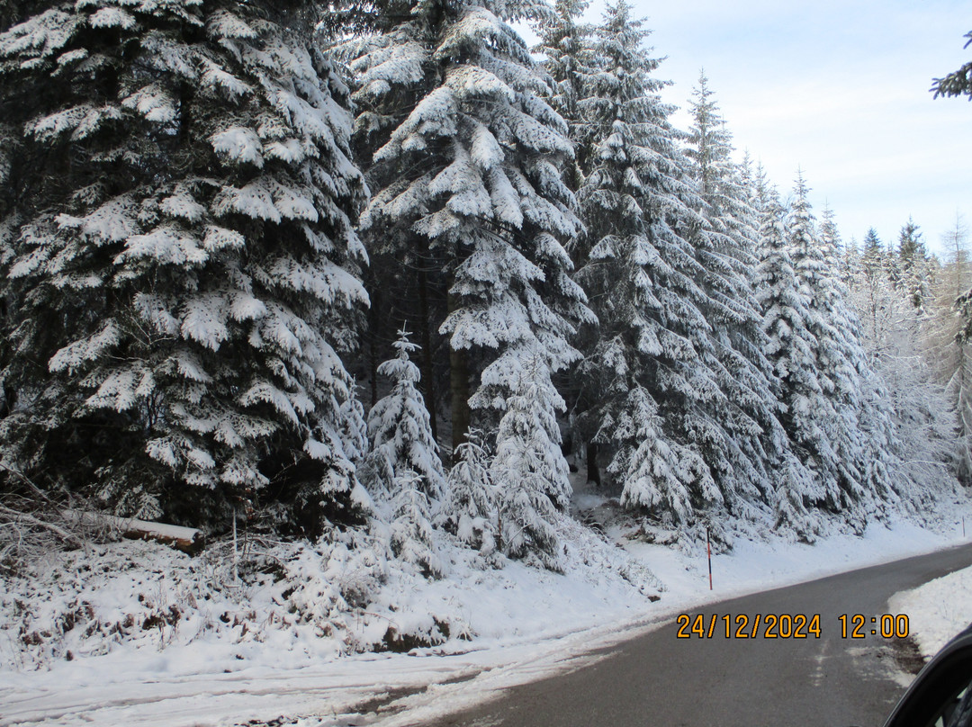 Hotel Klosterbraeustuben主图