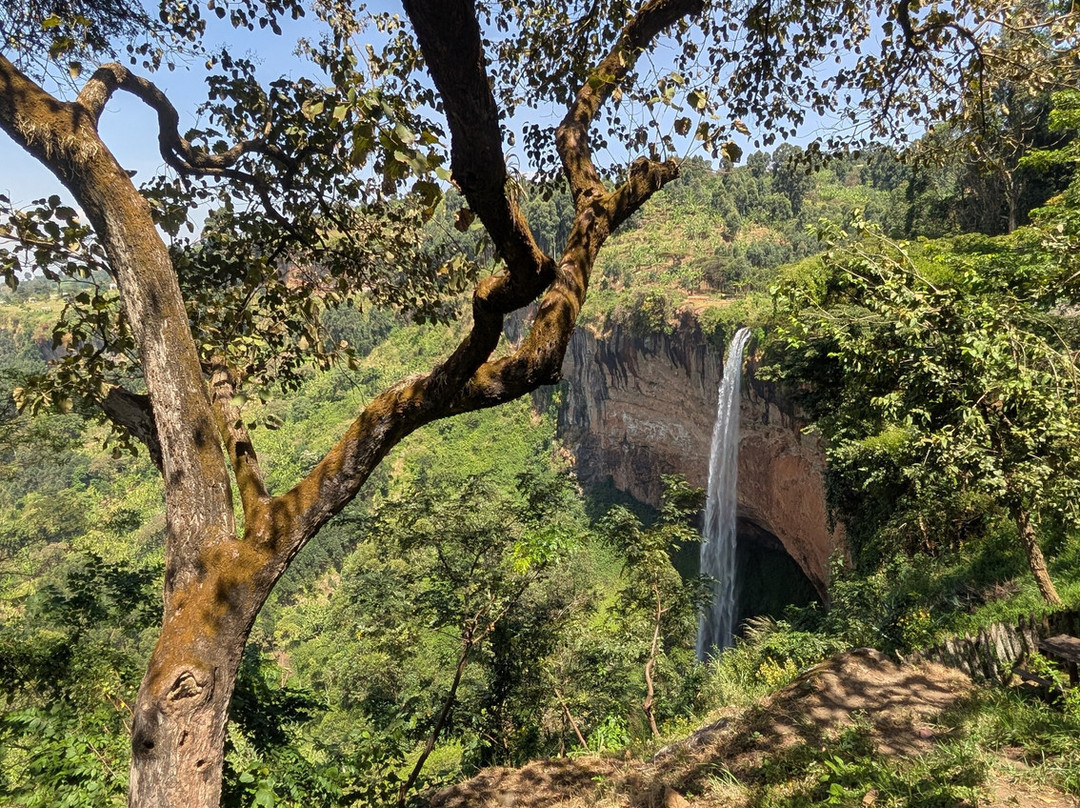 Mt. Elgon Hikes Uganda-Sipi必去景点