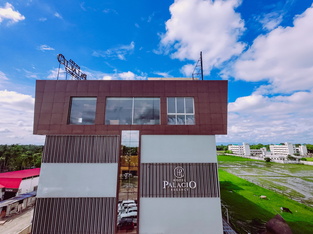 Hotel Palacio Regency