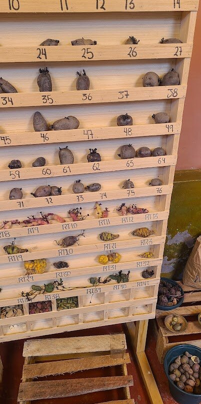 El Parque de la Papa-库斯科必去景点