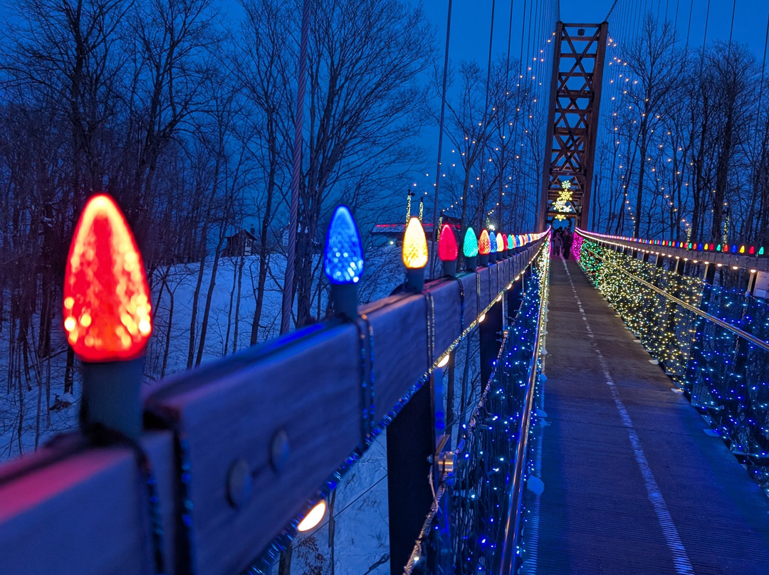 SkyBridge Michigan景点图片