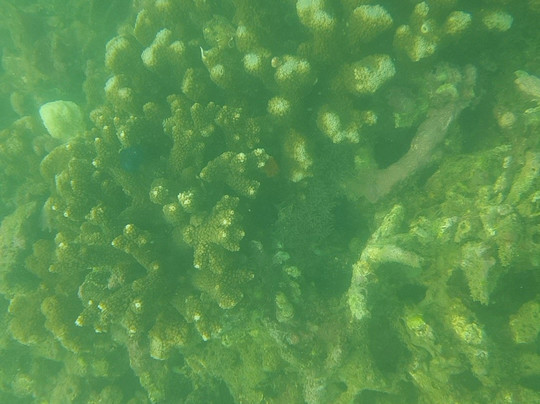 Vietnam Fantastic-芽庄必去景点