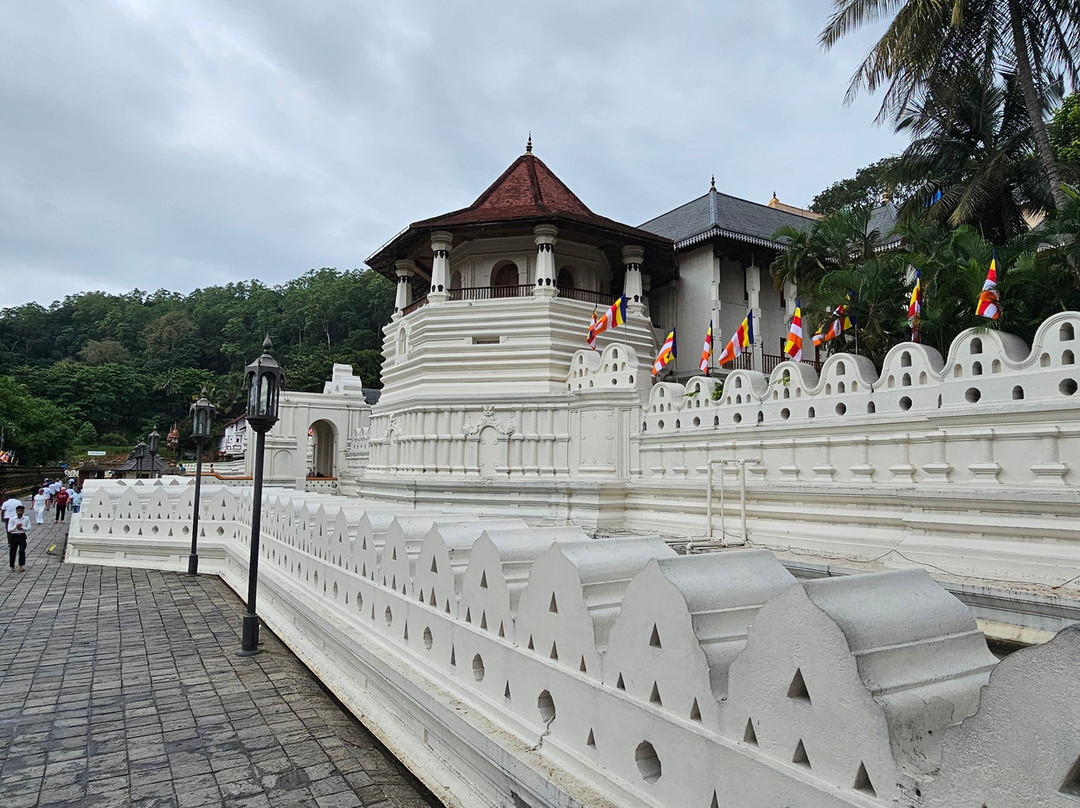 Sri Lanka Tour with Sujeewa景点图片