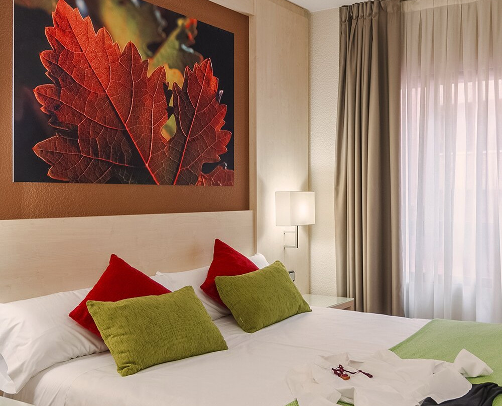 Hotel Condes de Haro主图