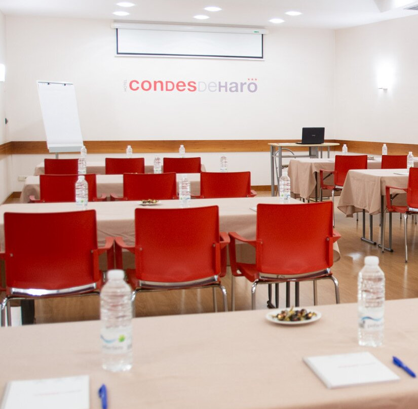 Hotel Condes de Haro主图