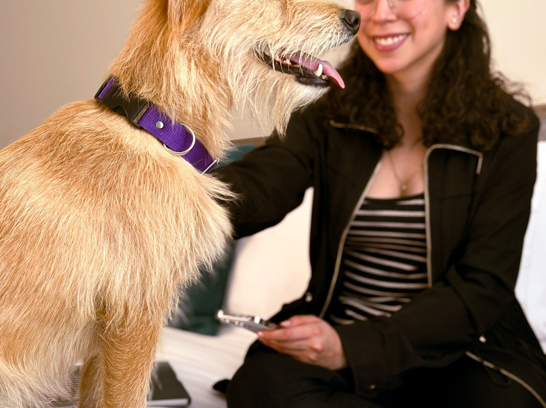 La Quinta by Wyndham Quito主图