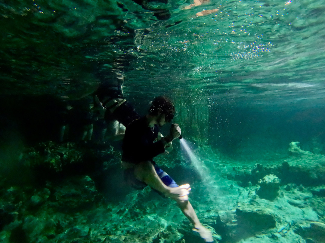 Monkeys Atvs Cancun-从莫雷洛斯港必去景点