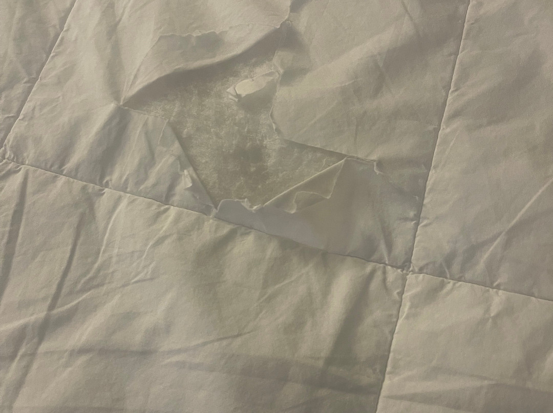 Holiday Inn Express & Suites Marshall By IHG主图