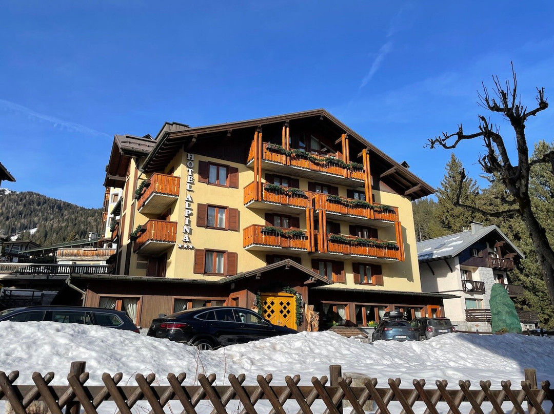 Hotel Alpina主图