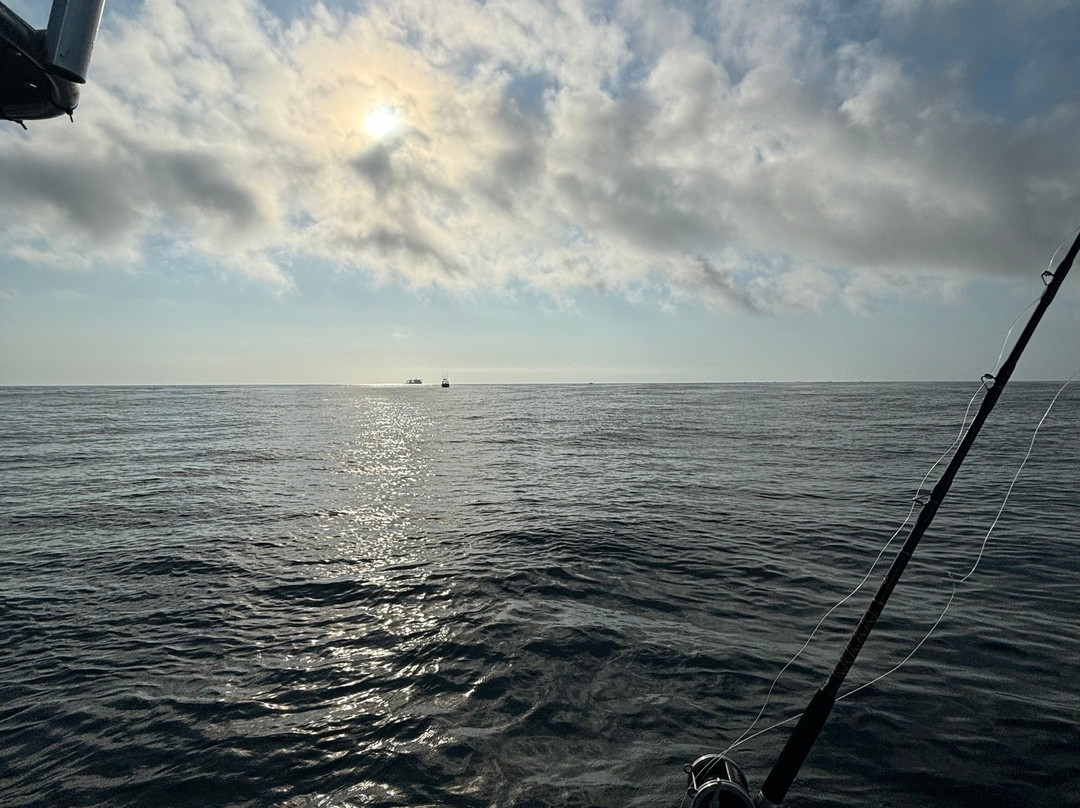 Canaveral Kings Sport Fishing Charters景点图片