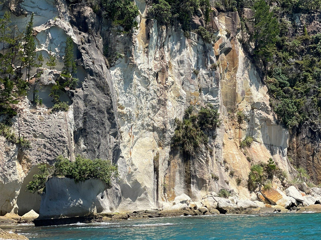 Mercury Bay Discoveries - River & Waterways Cruise景点图片