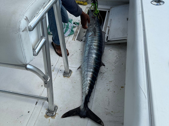 Captain William-弗里波特必去景点