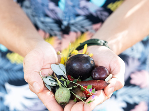 The Australian Food Guy-悉尼必去景点