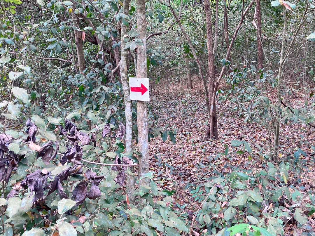 Phichit Historical Park-披集市必去景点