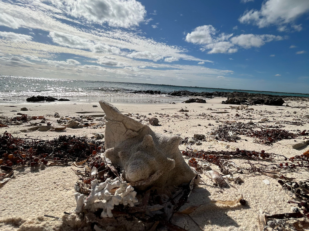 Andros Excursions-Andros必去景点