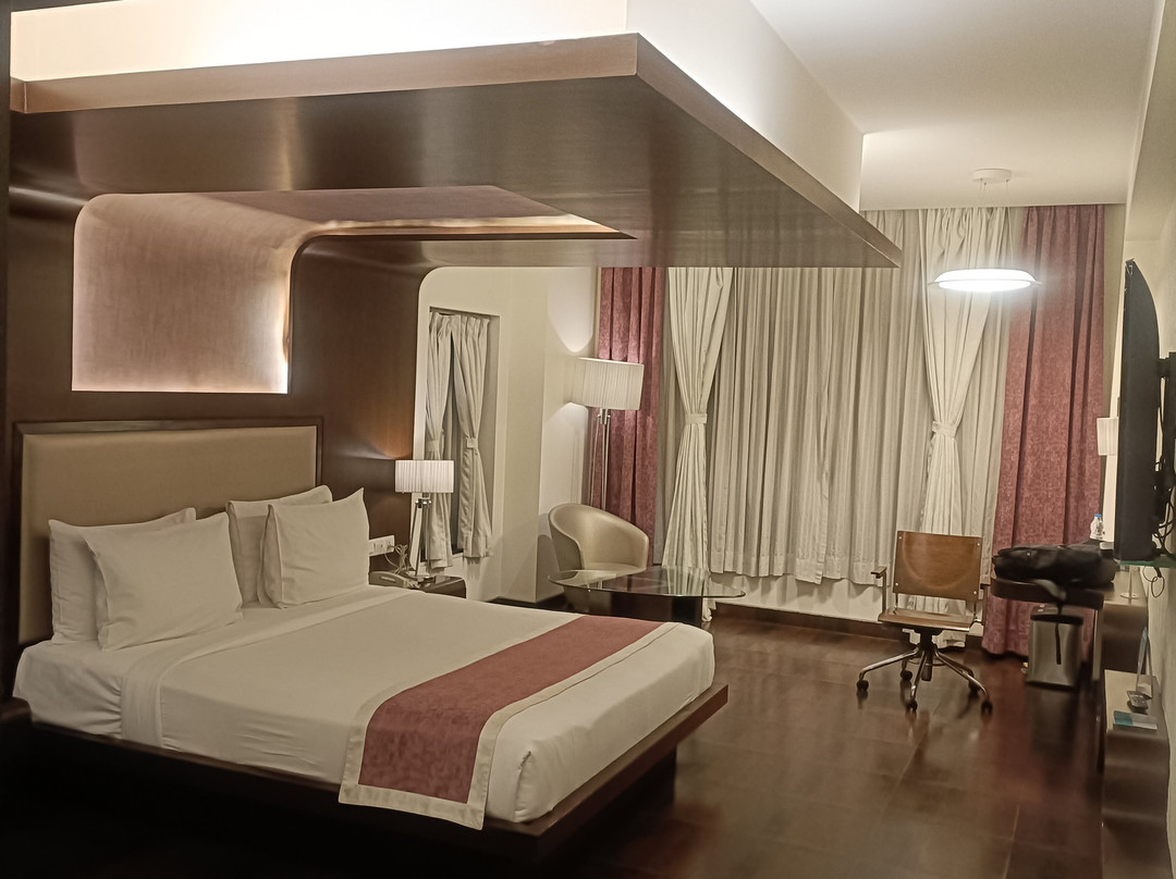 Cocoon Luxury Business Hotel主图