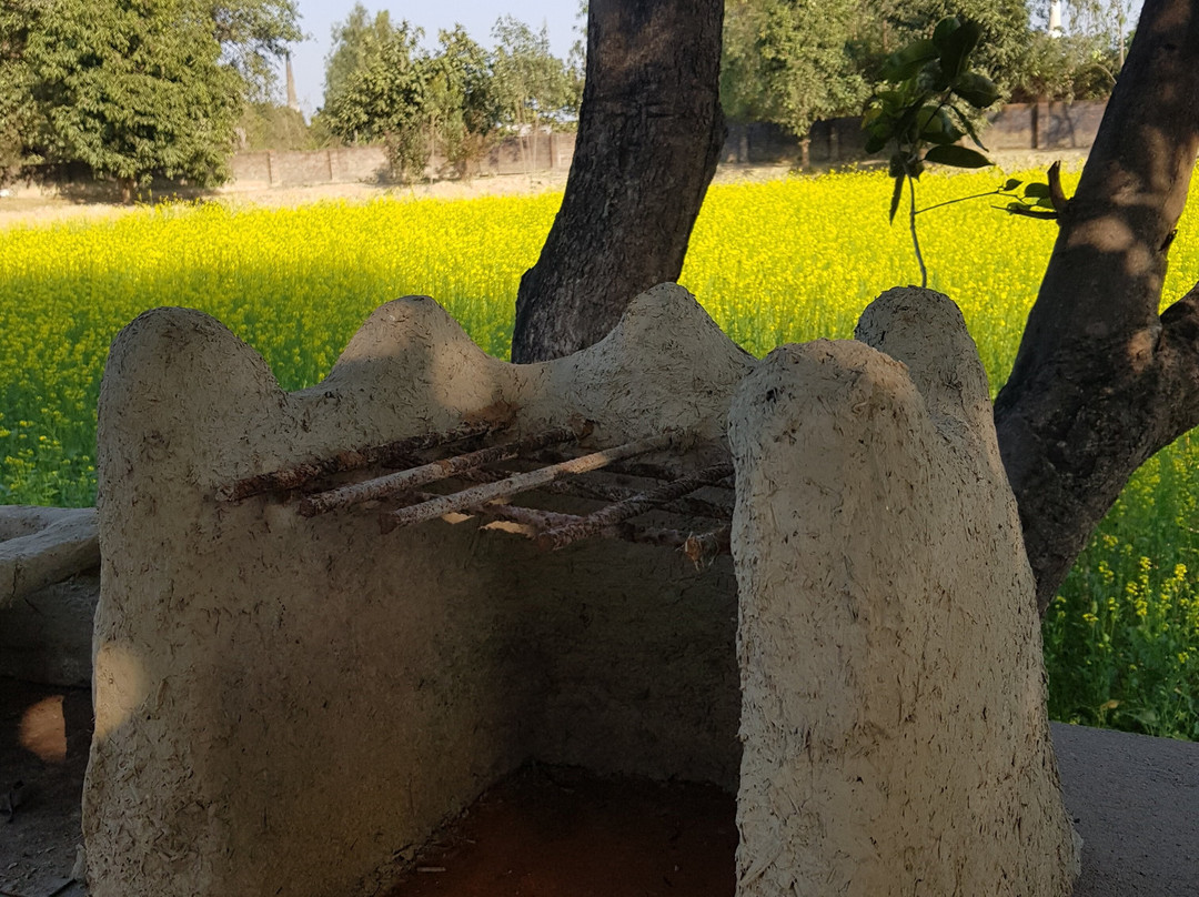 Koko's Farm-拉克瑙必去景点