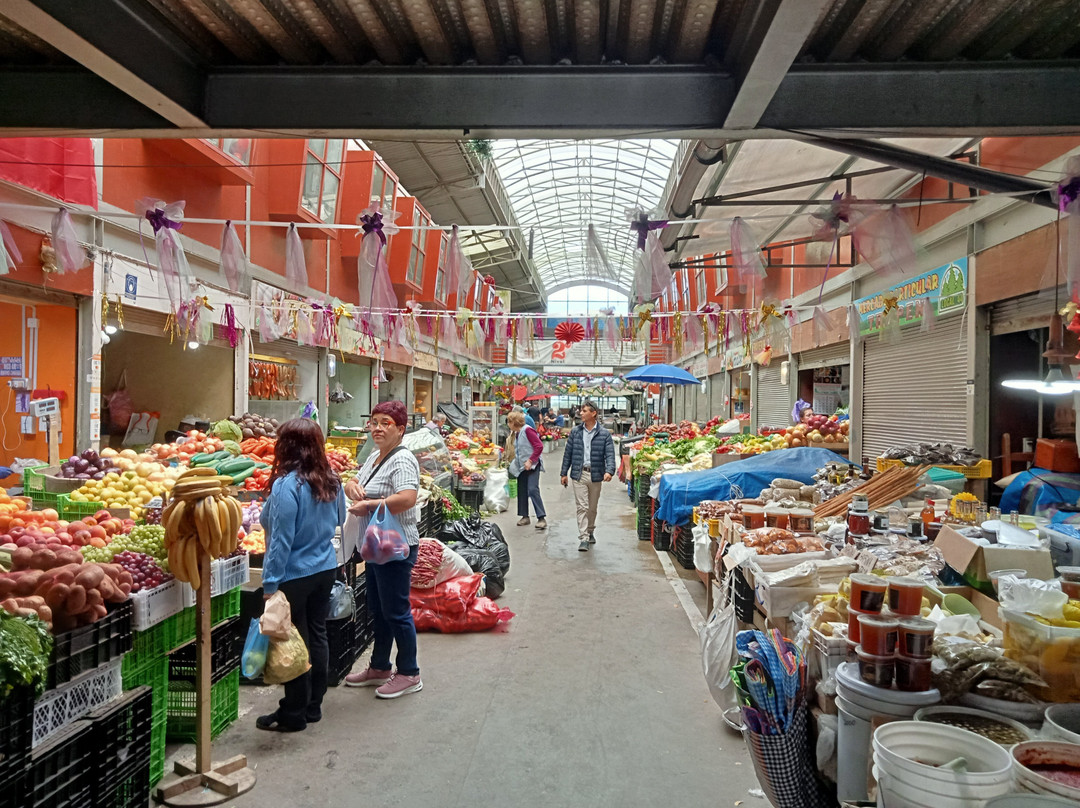 Mercado Presidente Ibanez-蒙特港必去景点