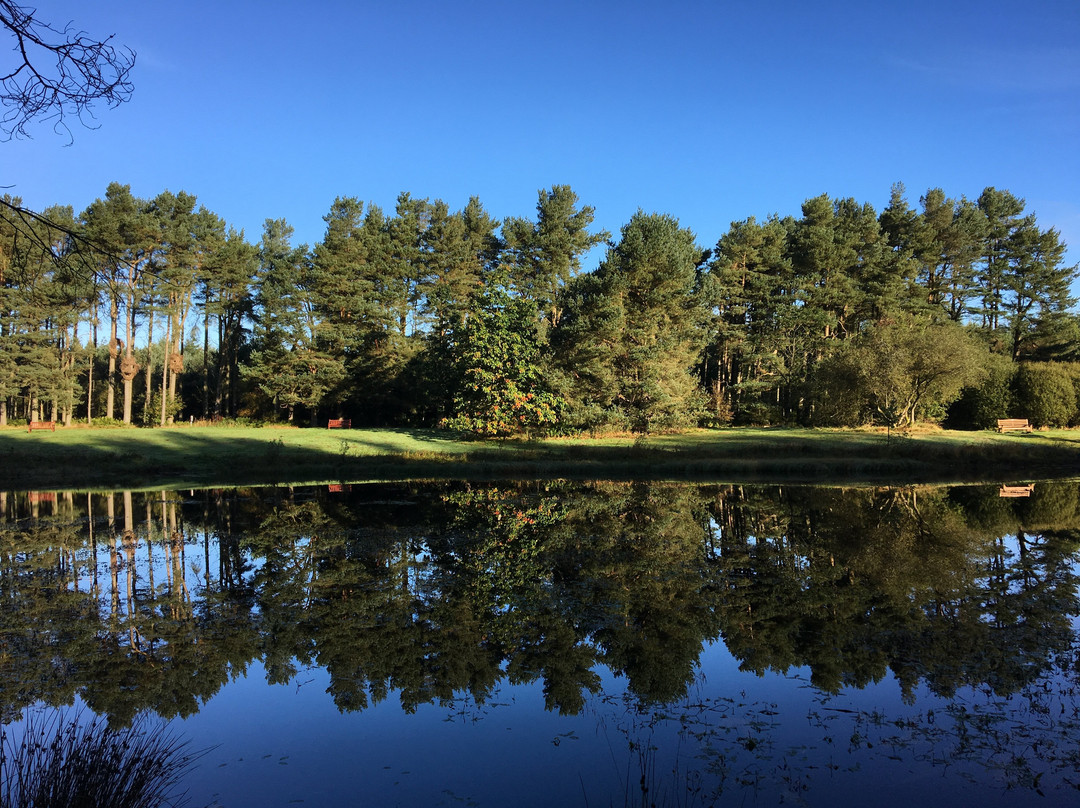 Monikie Country Park-敦提必去景点