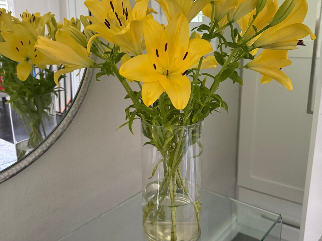 Patcham Place, Clarens主图