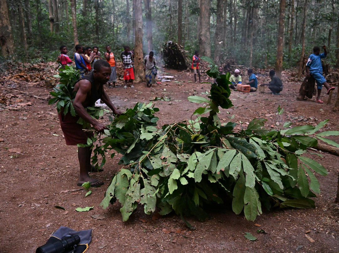 Dzanga-Sangha Reserve-Bayanga必去景点