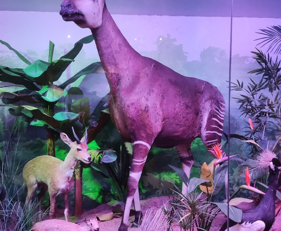 Grigore Antipa National Museum of Natural History-布加勒斯特必去景点