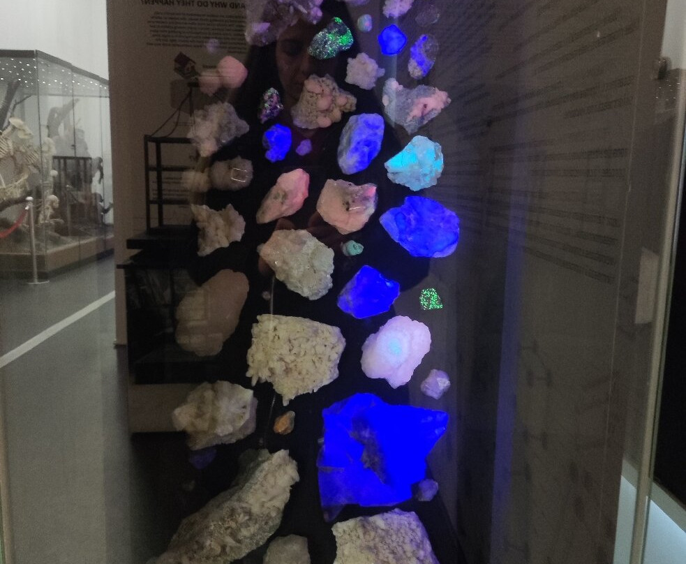 Grigore Antipa National Museum of Natural History-布加勒斯特必去景点