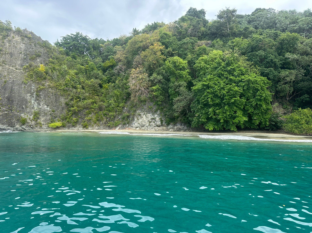 Sailing Catamaran Picante Private Day Tours-克朗波因特必去景点