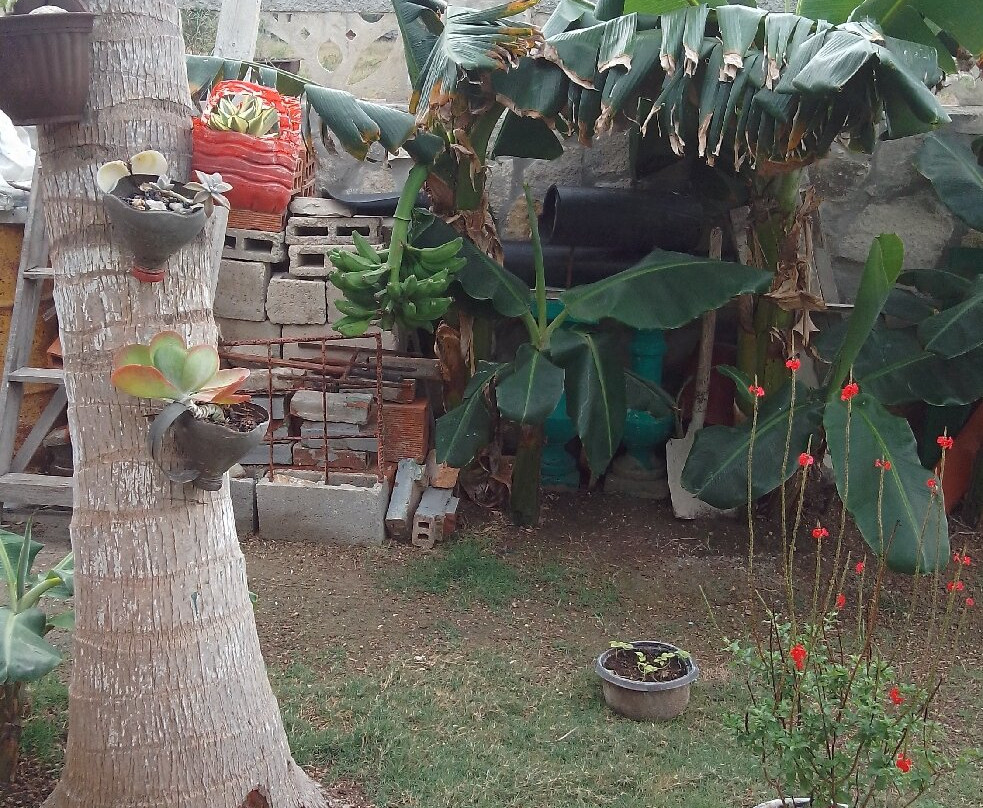 Casa Valido y Surami主图