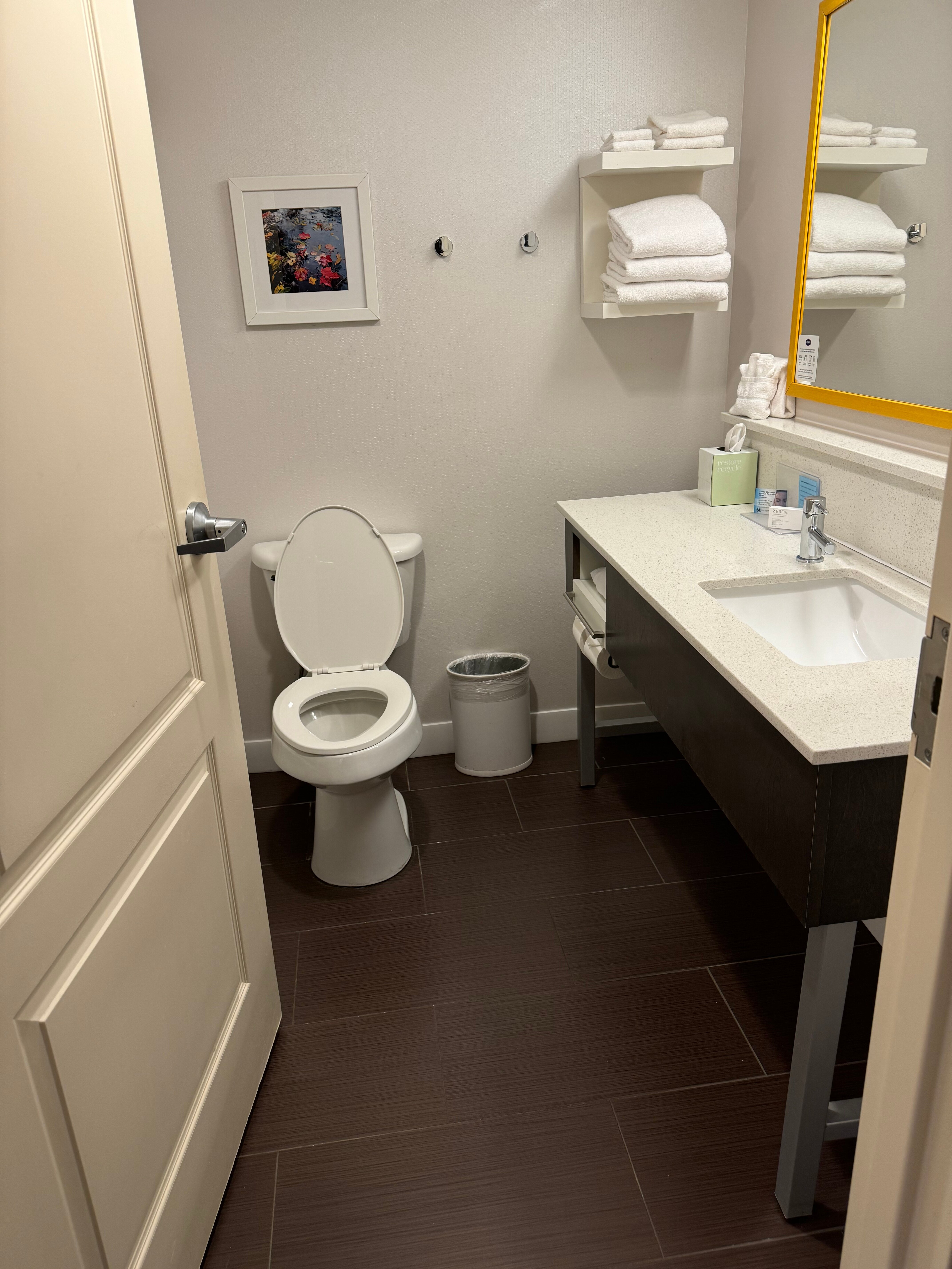 Hampton Inn & Suites Greenville/Spartanburg I-85-浴室