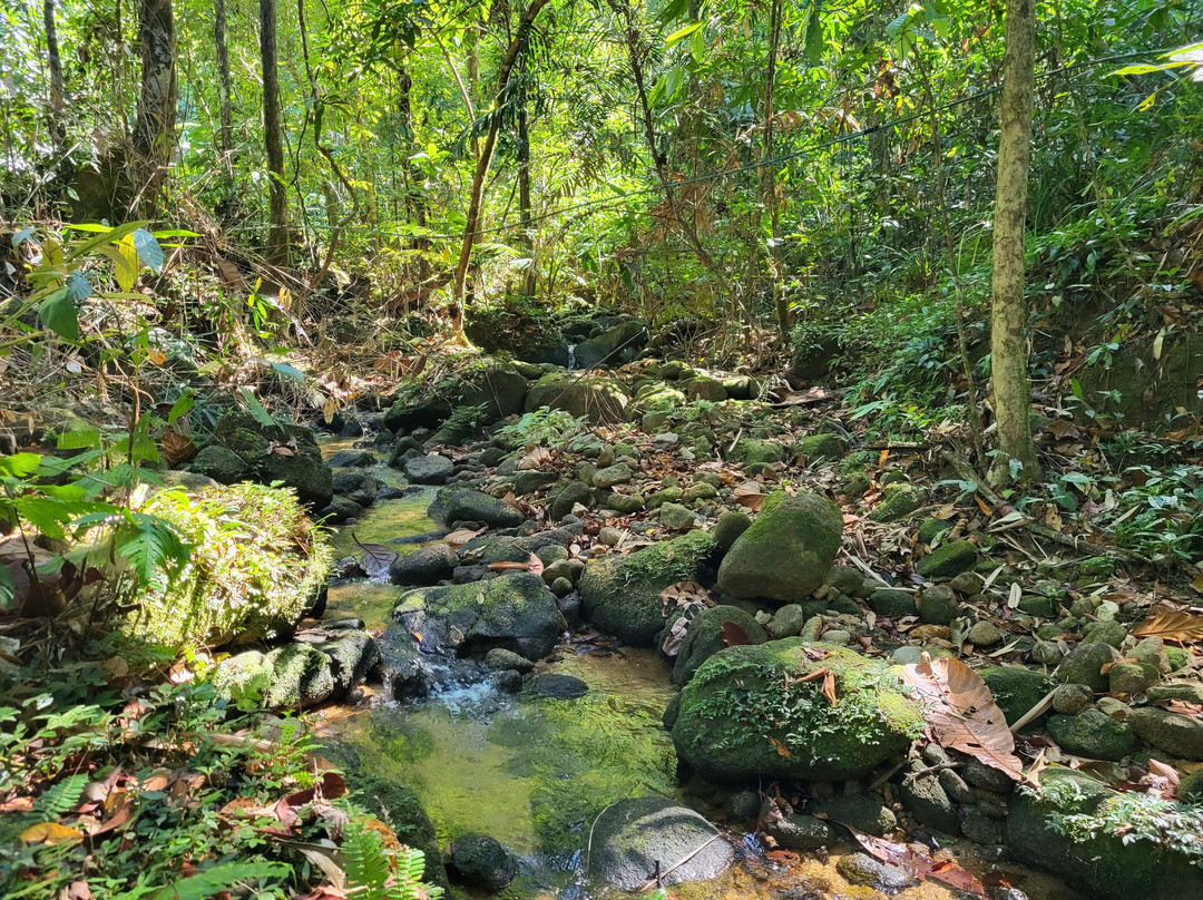 Ton Chong Fa Waterfall景点图片