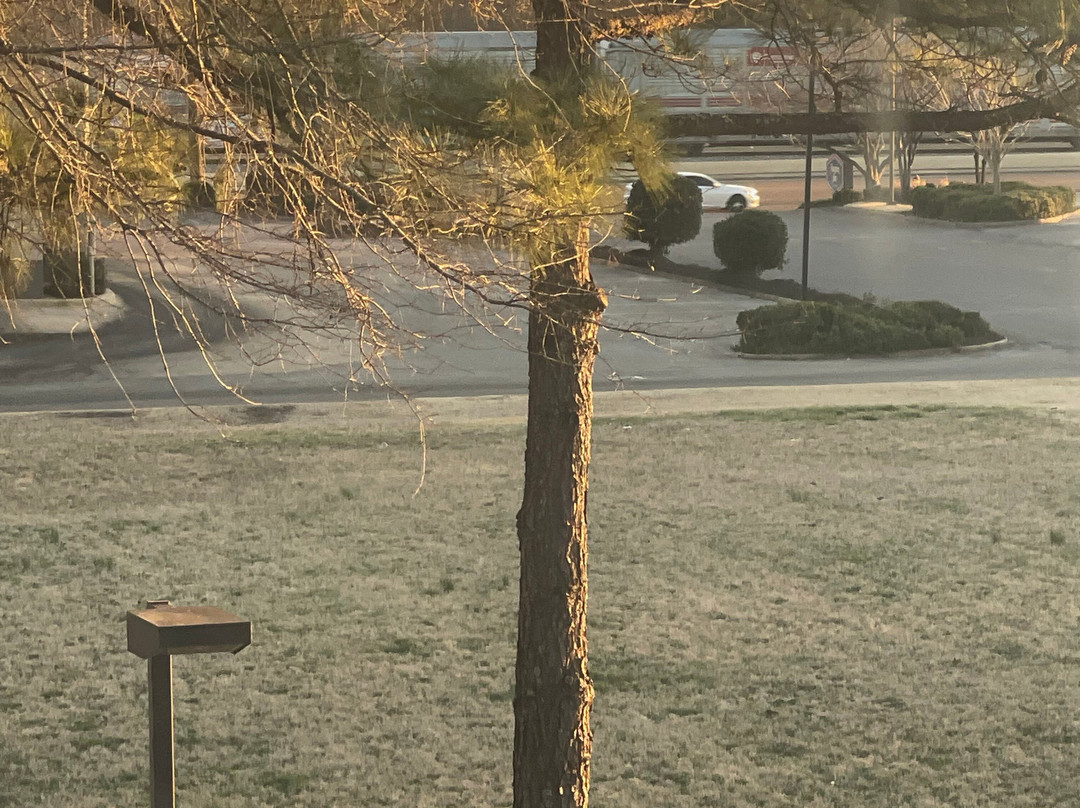 Hampton Inn Memphis/collierville主图