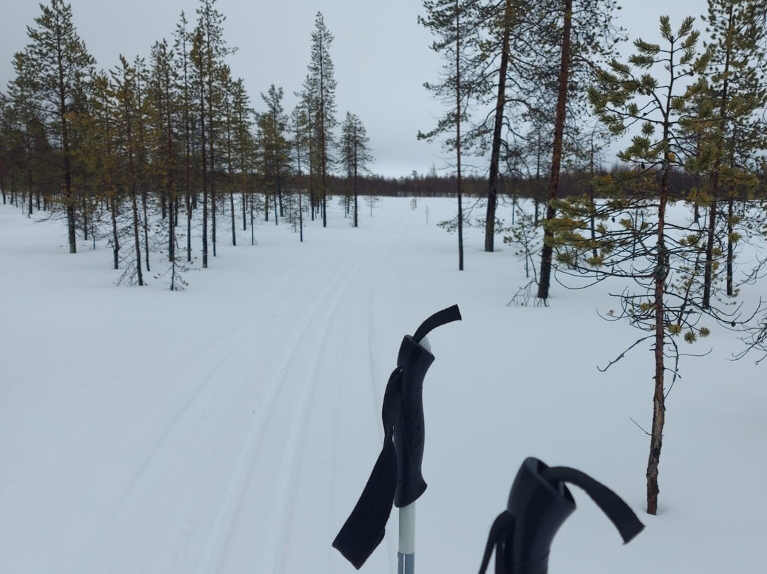 Wildmaker Lapland-Muonio必去景点