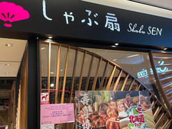 Gallery 2