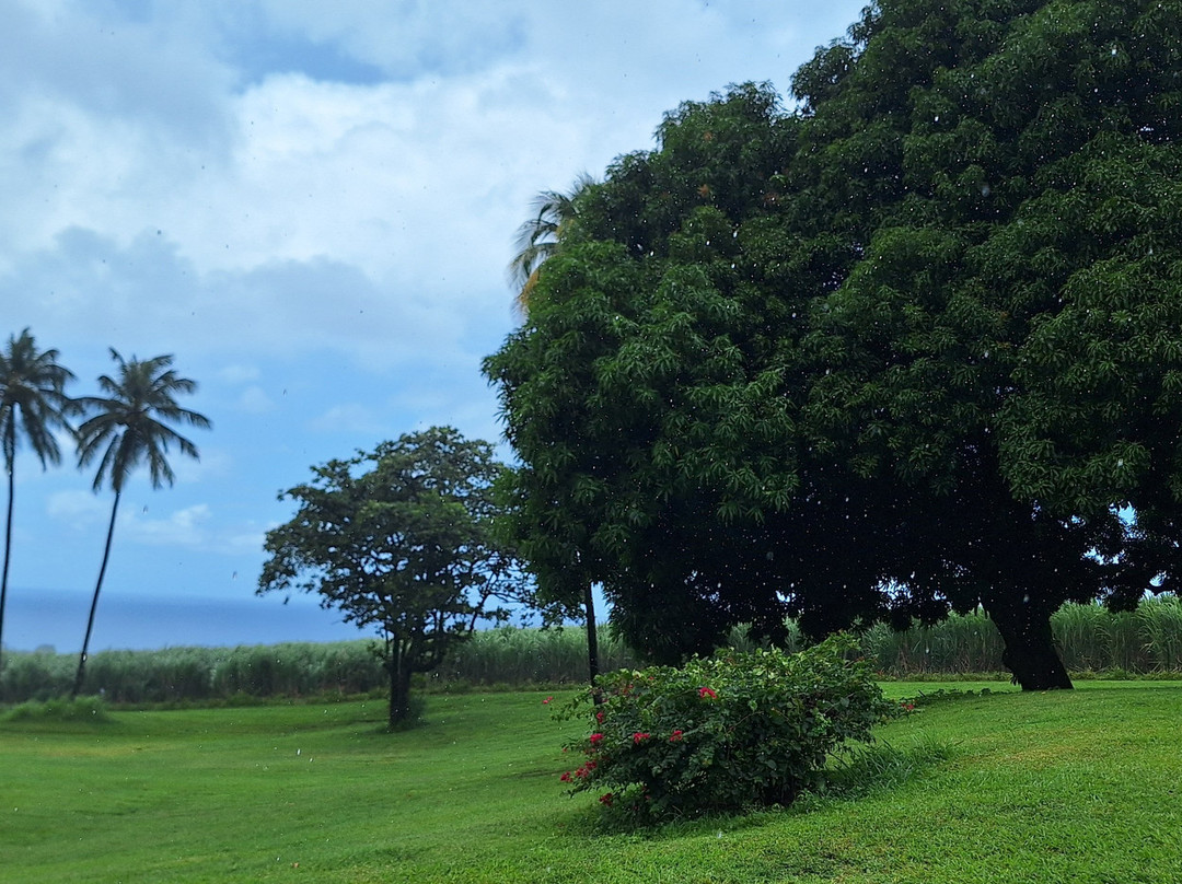 Karambole Tours-圣吕斯必去景点