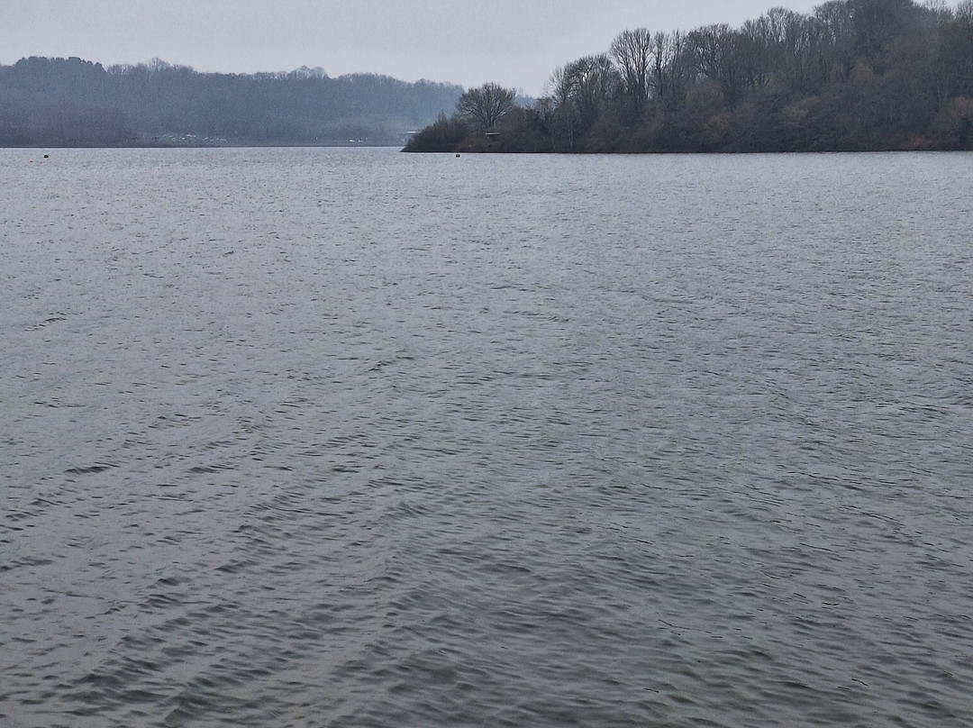 Llandegfedd Lake景点图片