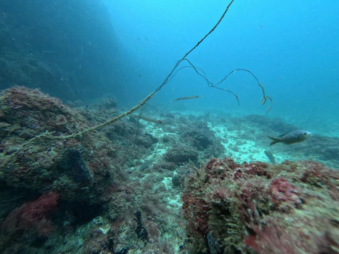 Cidade Velha Diving-大贝里拉历史中心旧城必去景点