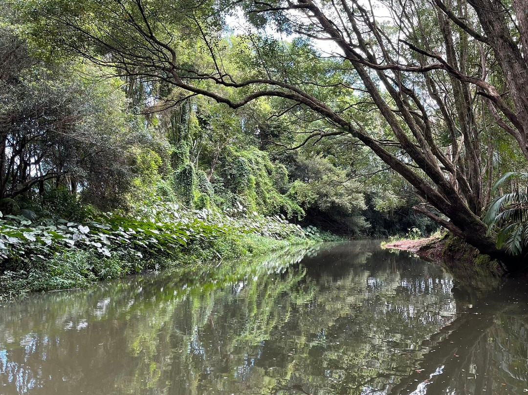Bangalow Weir Parklands景点图片