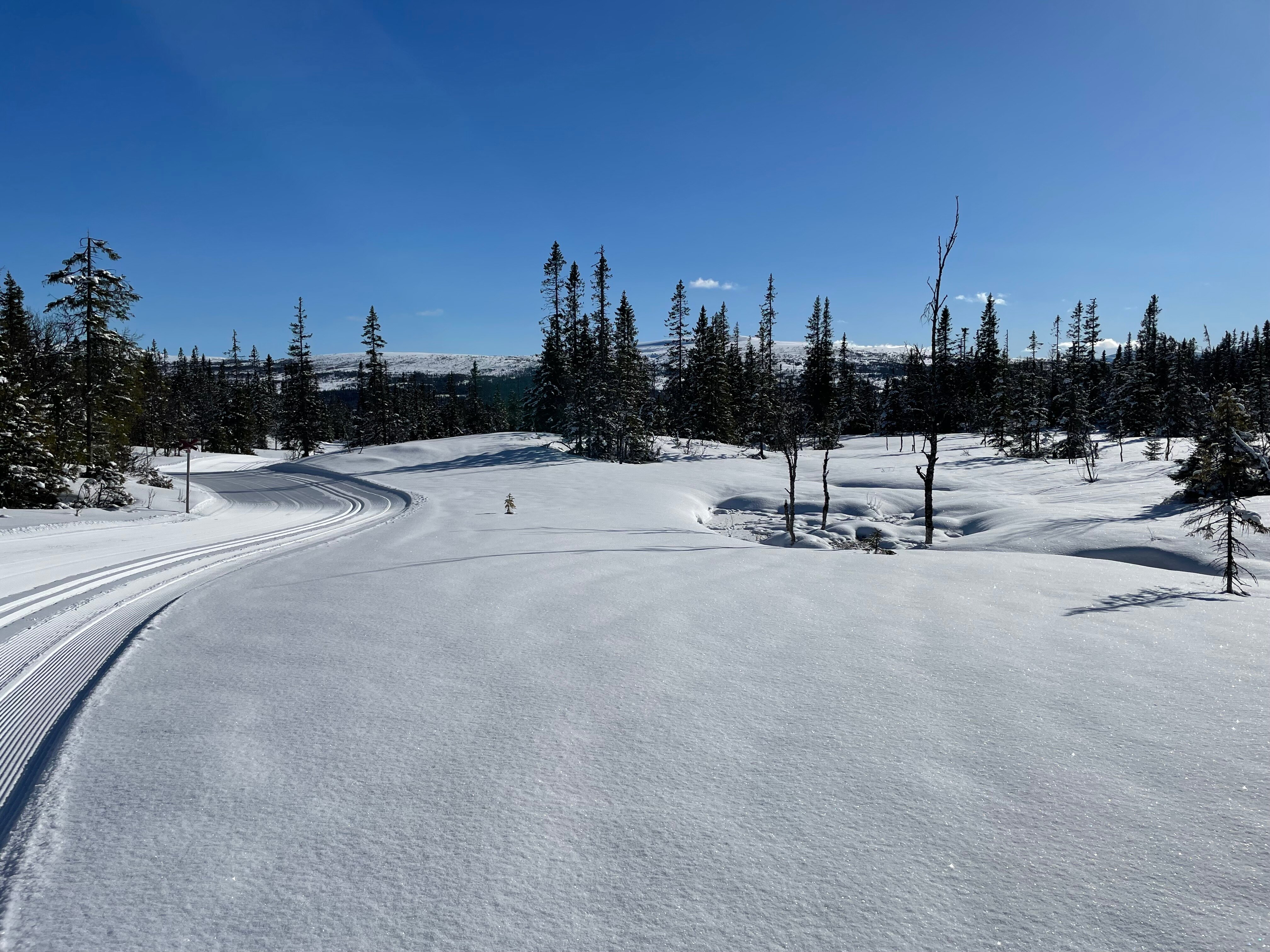 Köja Fjällhotell - Edsåsdalen-官方