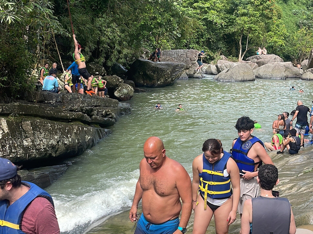 El yunque rain forest and water slider tour