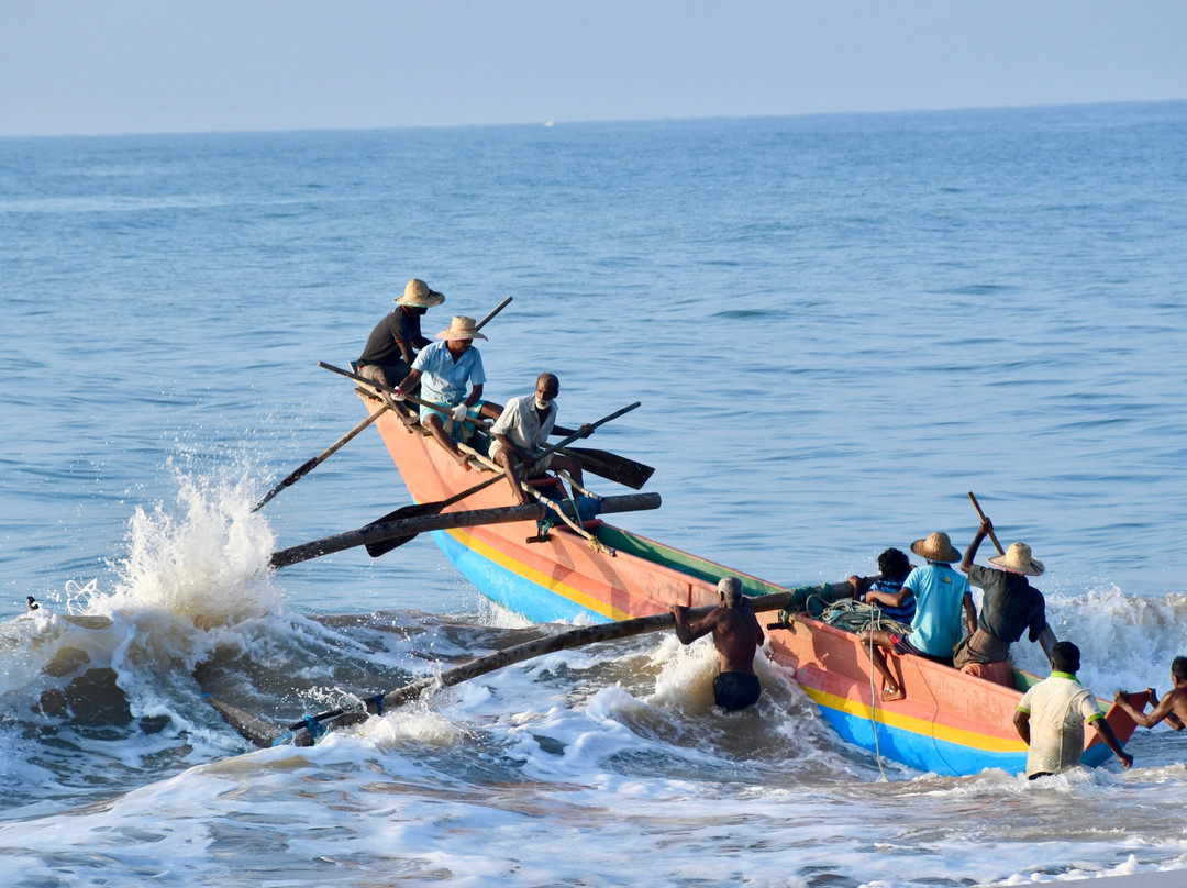 Ceylon Odyssey Travels & Tours景点图片